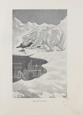 Робертс Ч. В лесных дебрях. Рассказы / Пер. с англ. Волошинова; с рис. Плошинского. СПб., 1914.